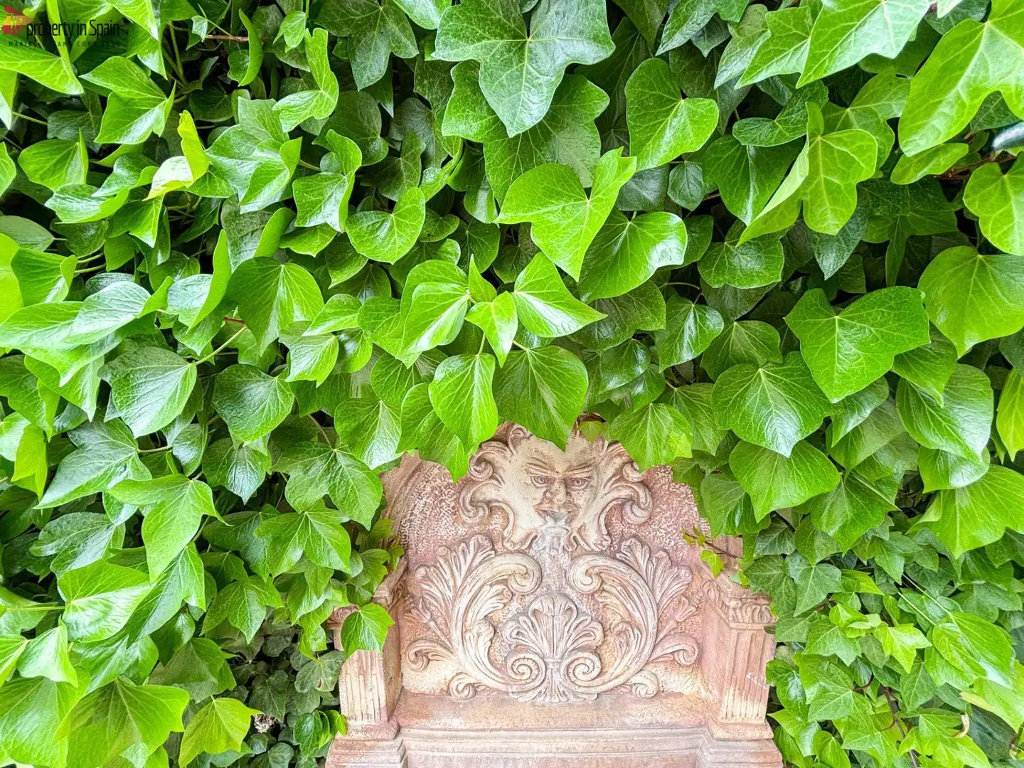 Jardí de Casa o xalet de lloguer en Alicante / Alacant amb Jardí privat, Traster i Piscina