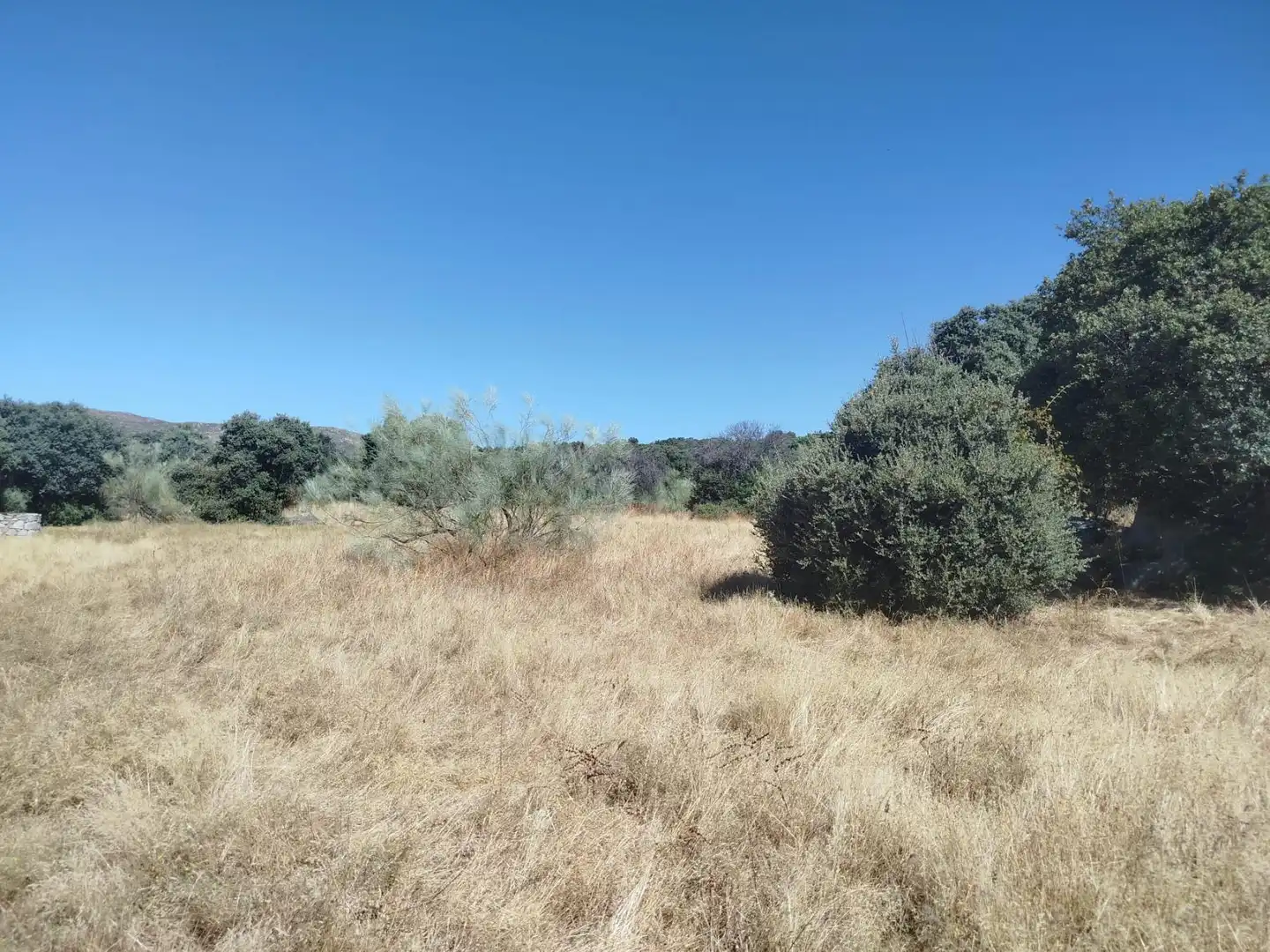 Finca rústica en venta en Fresnedilla, Ávila