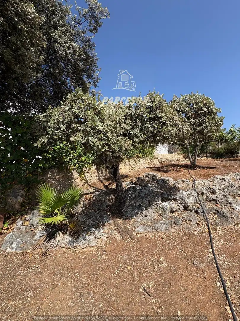 Casa con terraza en venta en Almodóvar del Río, imagen 5