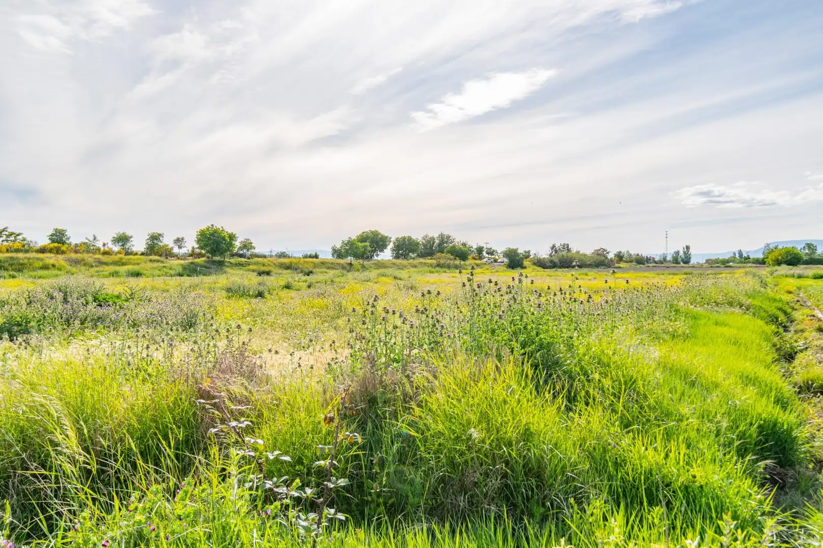 Lands and plots for sale in Polígono 9 Parcela 307 MARACHAT. GRANADA (GRANADA, imagen 33