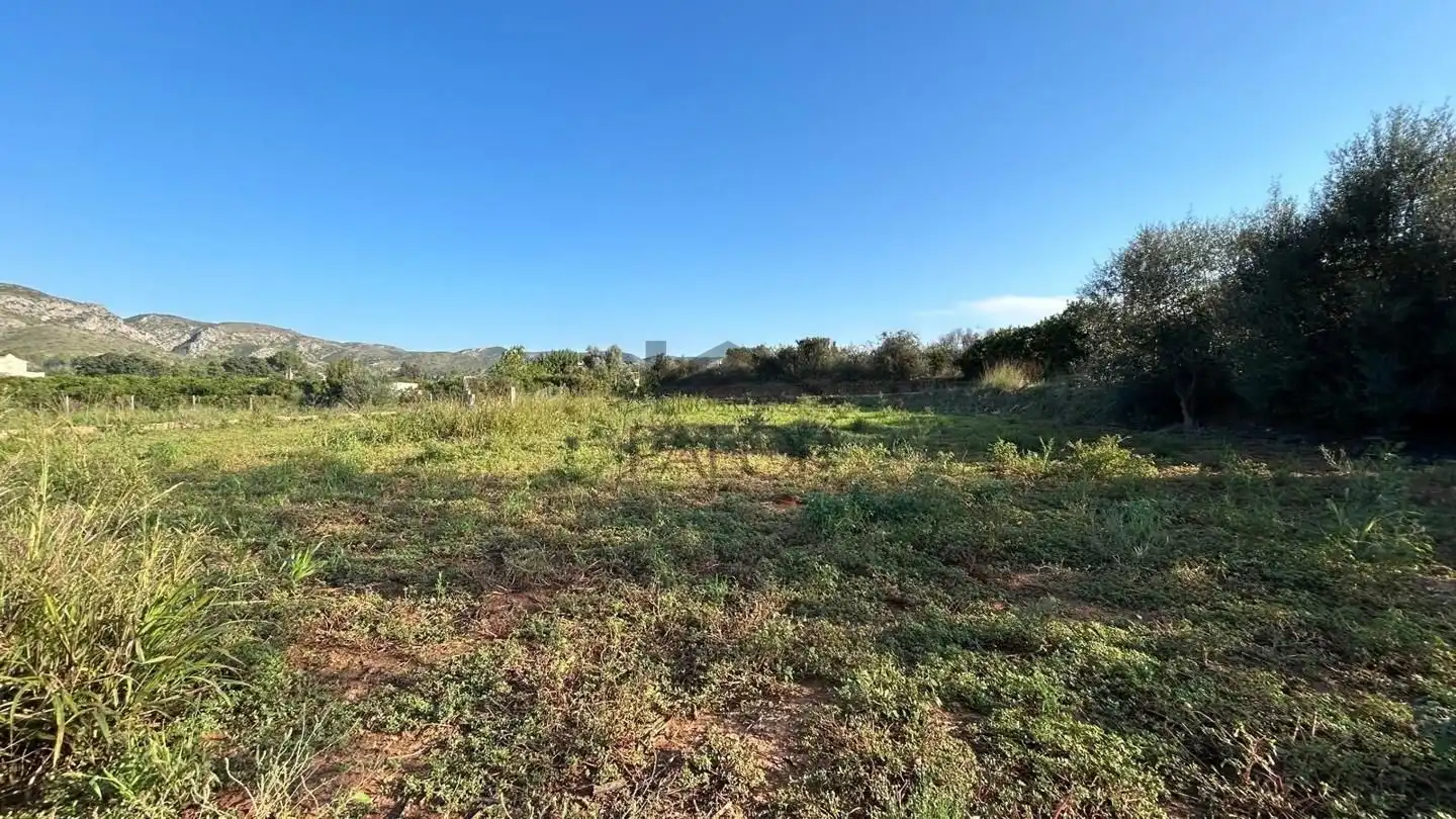 Terreno rustico in vendita a Carcaixent, imagen 3