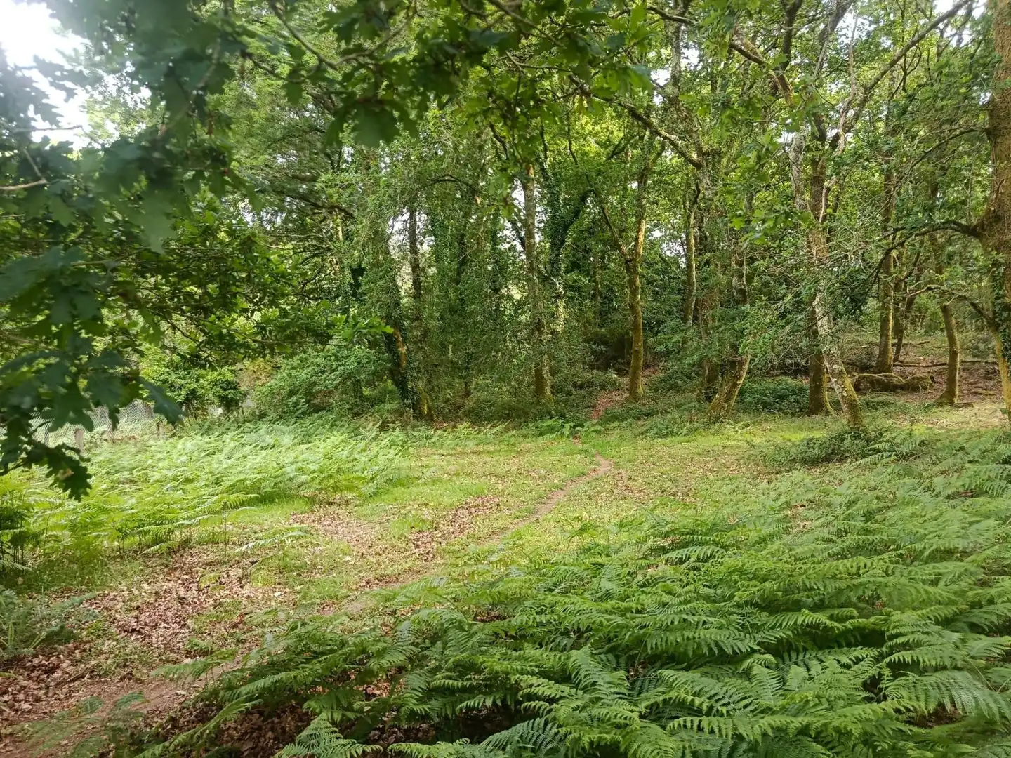 Finca rústica en venta en A Estrada 