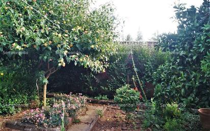 Garden of Flat for sale in Aracena