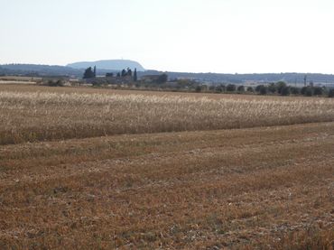 Terreno rústico en venta en Vilafranca de Bonany