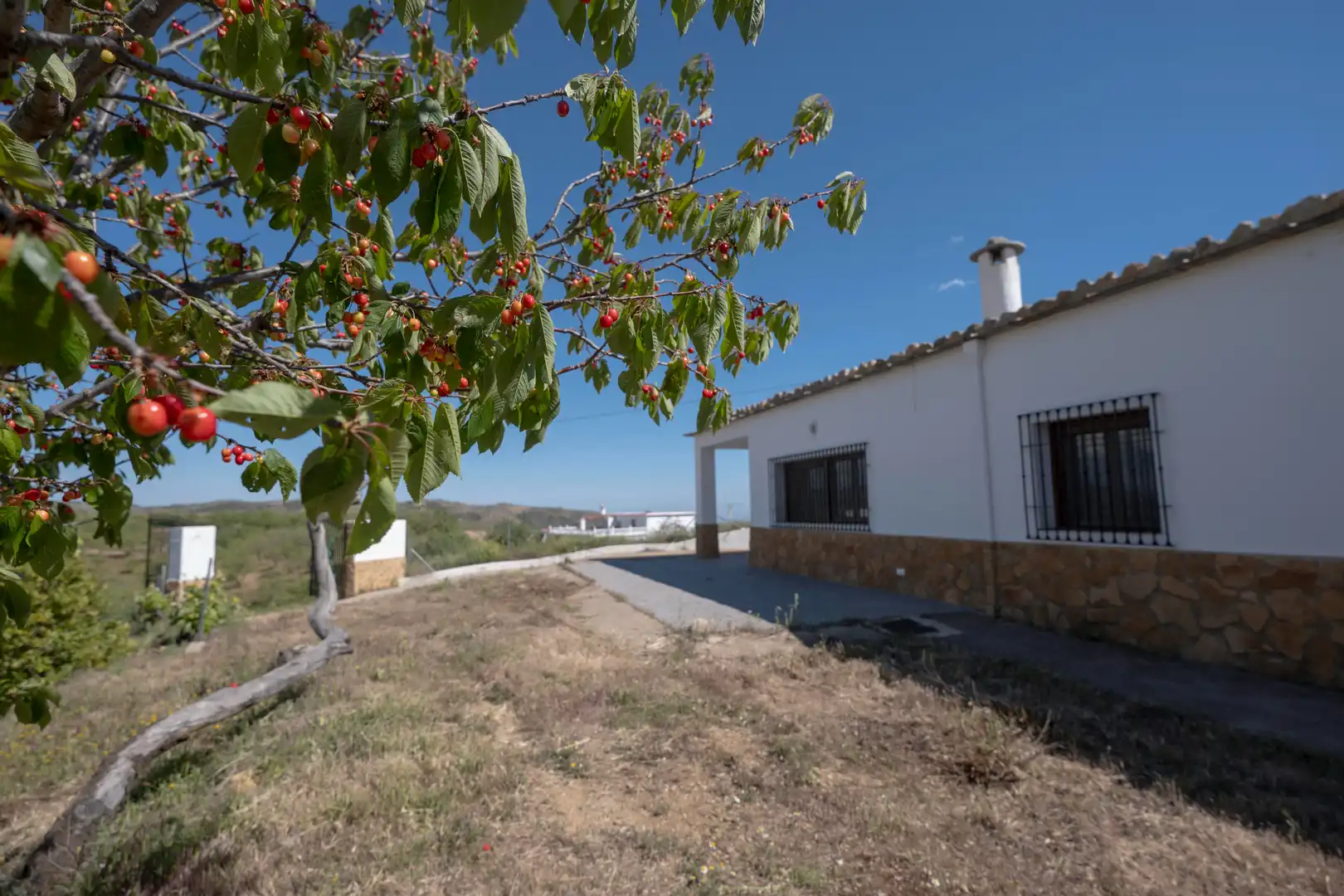Vista exterior de Casa o xalet en venda en Murtas amb Jardí privat, Terrassa i Piscina