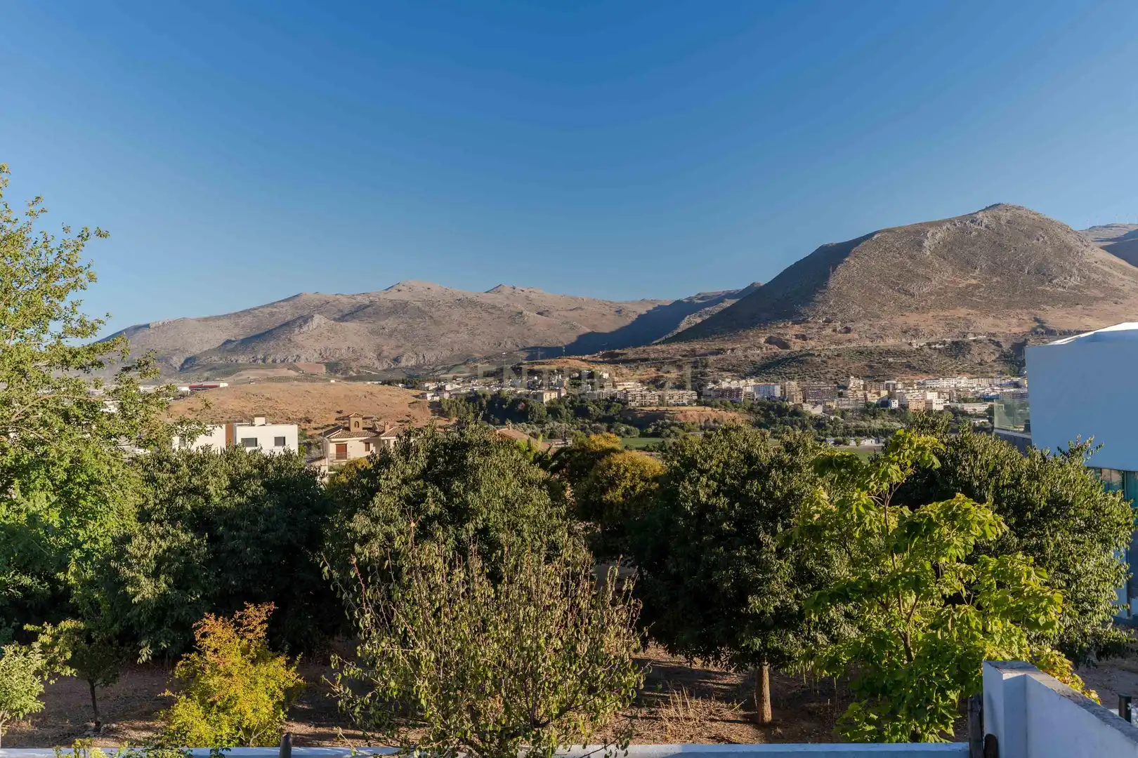 Vista exterior de Casa o chalet en venta en Loja con Aire acondicionado, Jardín privado y Trastero