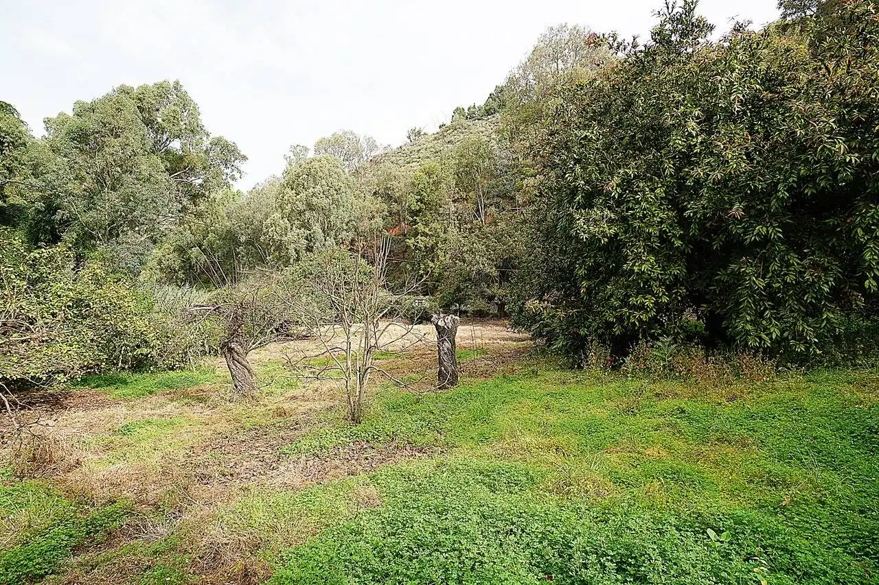 Finca rústica en venda en Teror amb Jardí privat i Terrassa