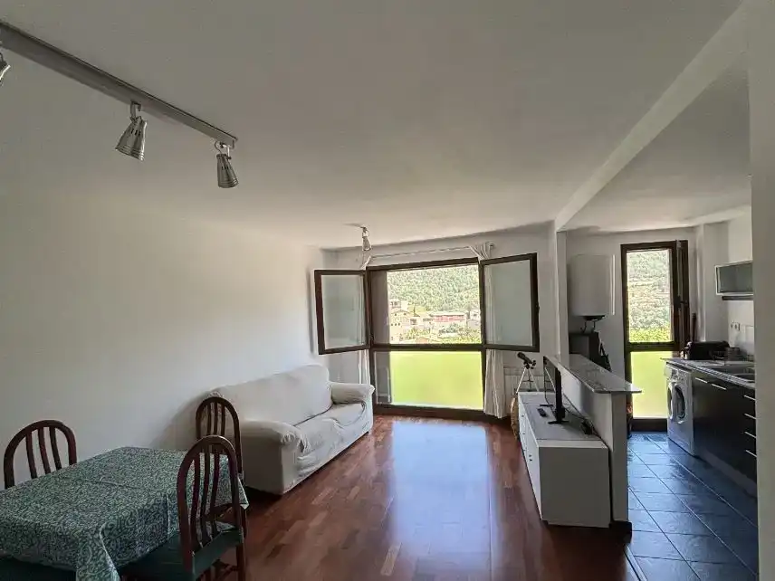 Sala d'estar de Pis en venda en Organyà amb Parquet i Moblat