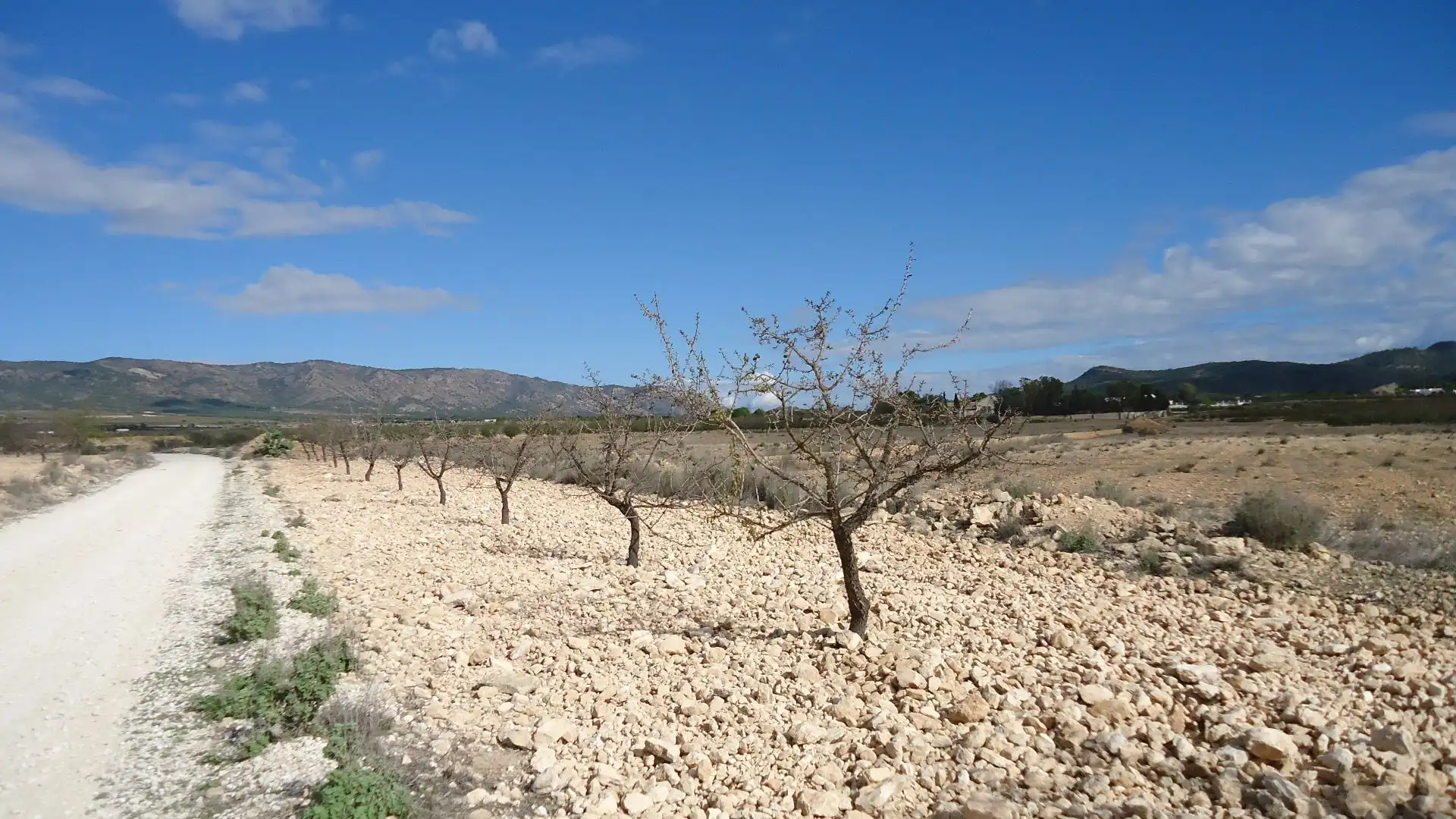 Terreno rústico en venta en El Pinós / Pinoso, imagen 4