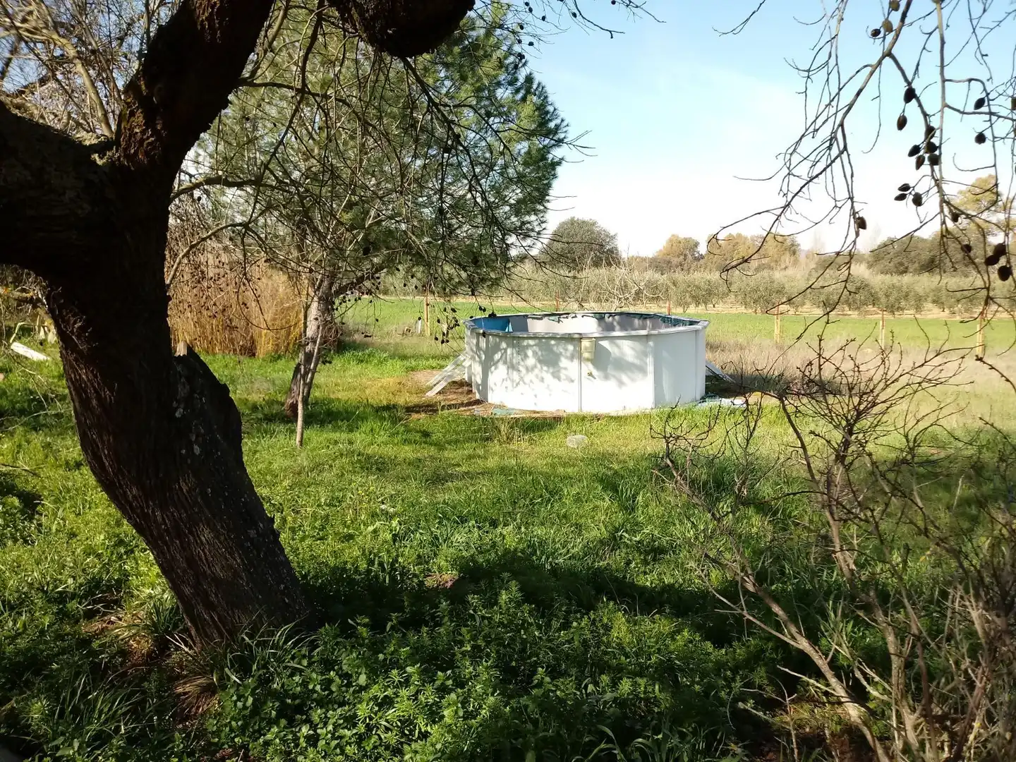 Swimming pool of Country homes for sale in La Coronada