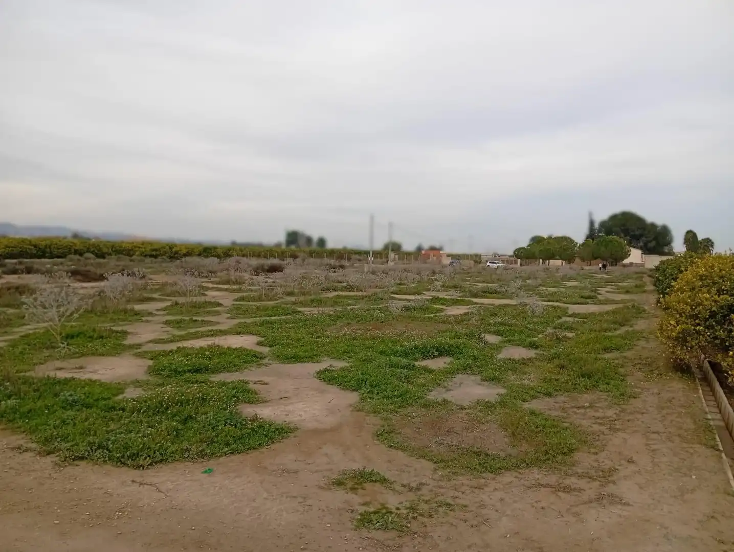 Terrain rustique à vendre à Polígono Paraje 82 EL ROMERAL, imagen 5