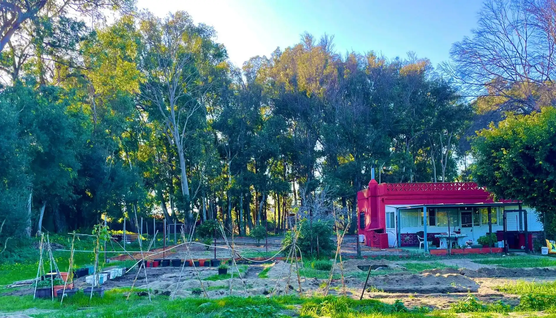 Garden of Houses for sale in La Línea de la Concepción