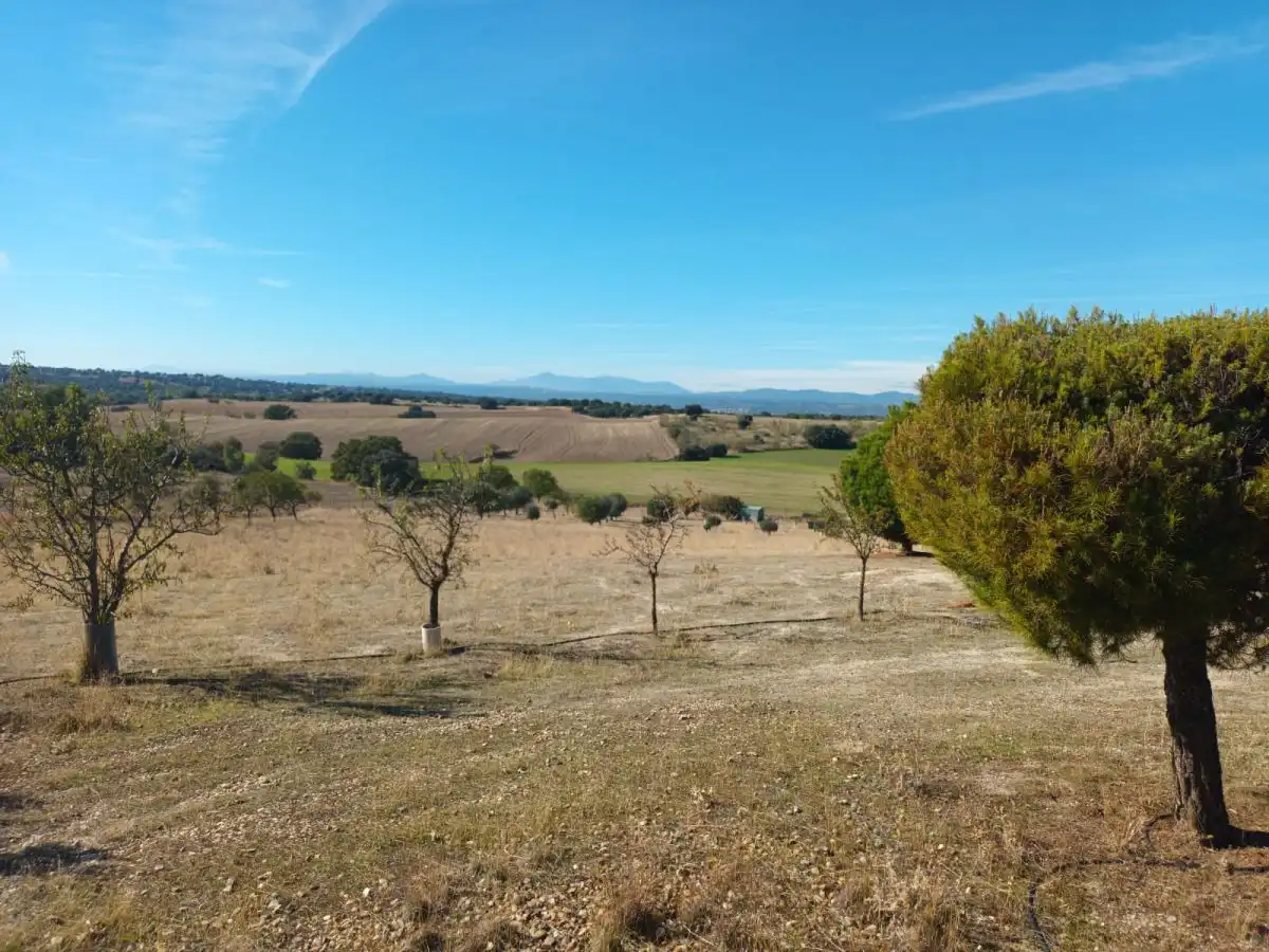 Finca rústica en venta en Brunete
