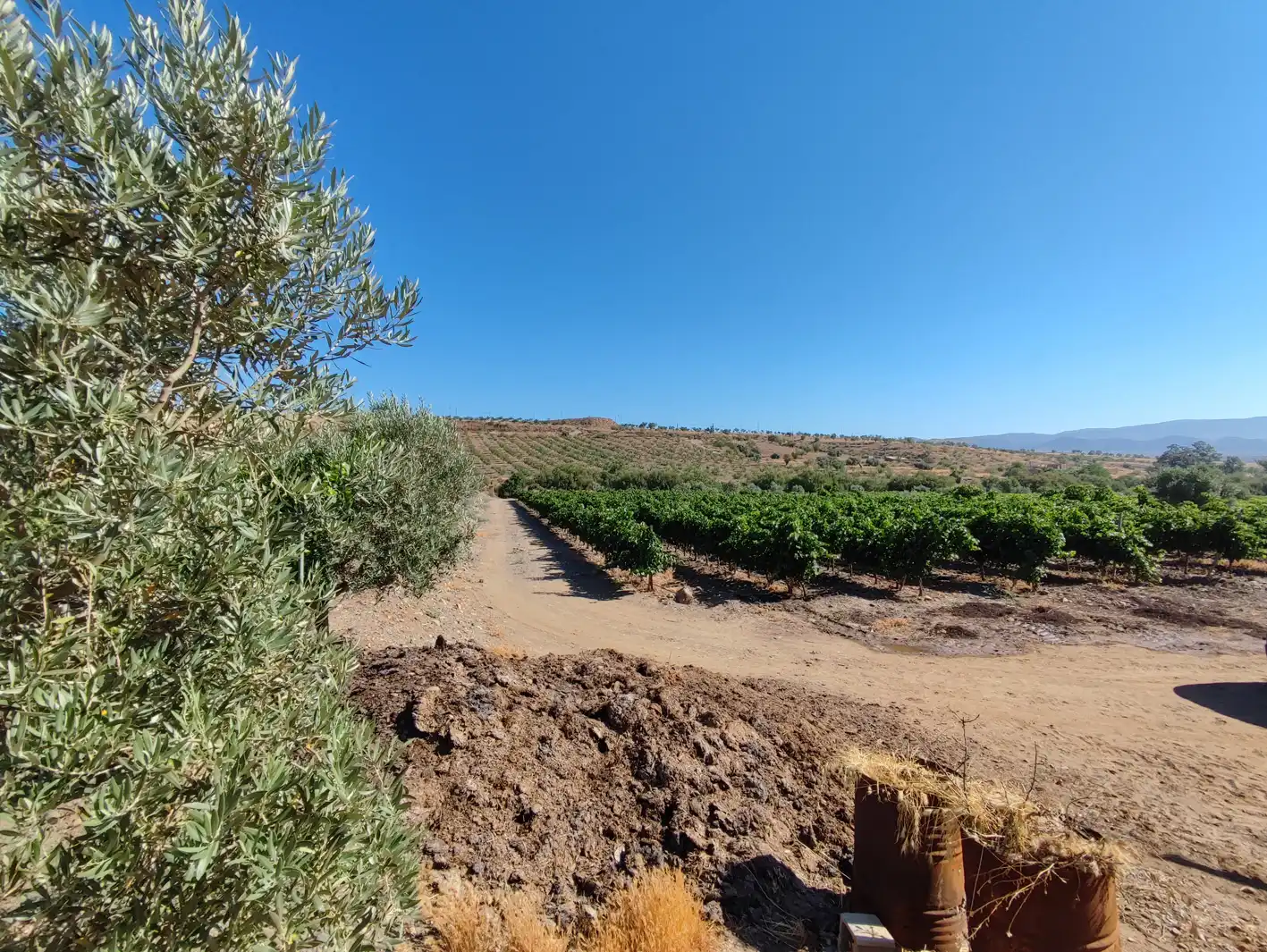 Land for sale in Huéneja