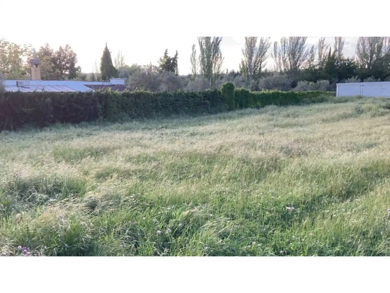Terrenos y solares en venta en Úbeda, imagen 2