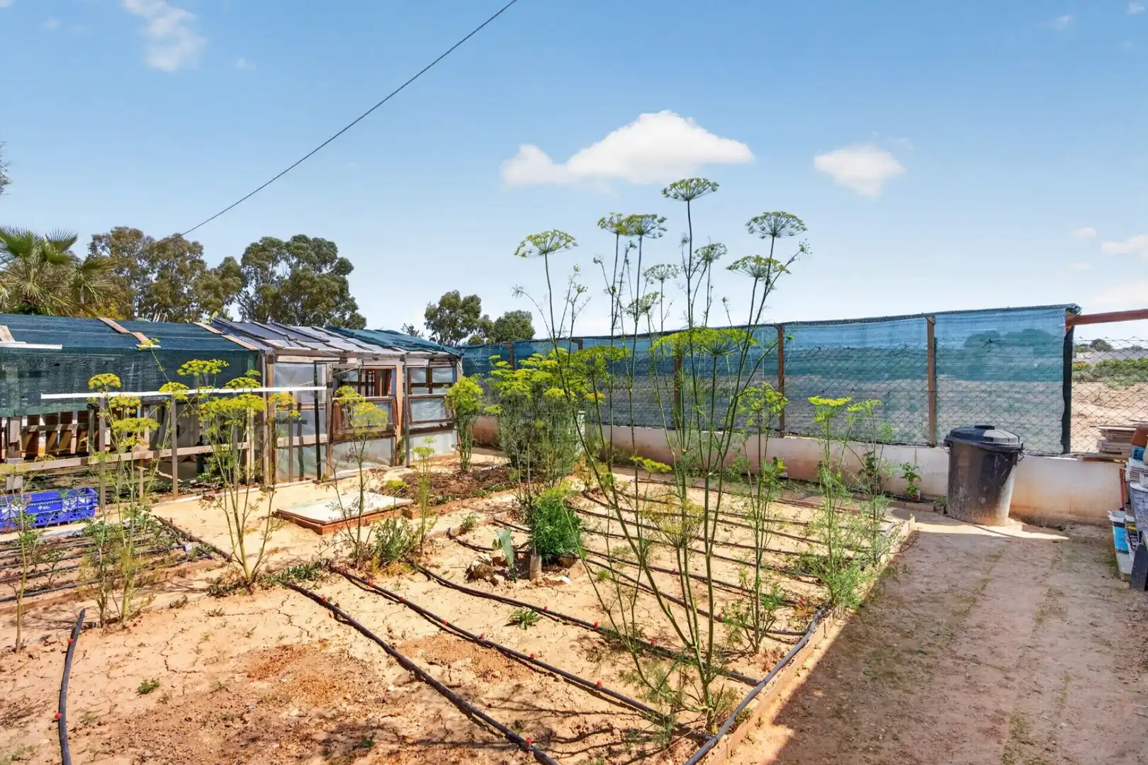 Jardí de Casa o xalet en venda en Elche / Elx amb Aire condicionat, Calefacció i Jardí privat