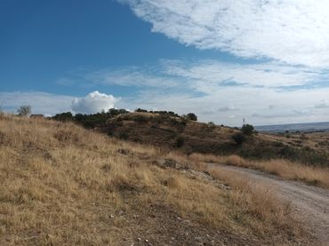 Terreno residenziale in vendita a Poligono 19-Rustica