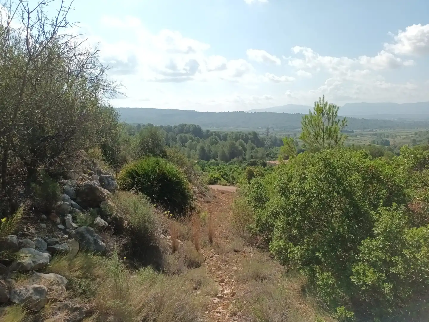 Terreno en venta en Benigànim