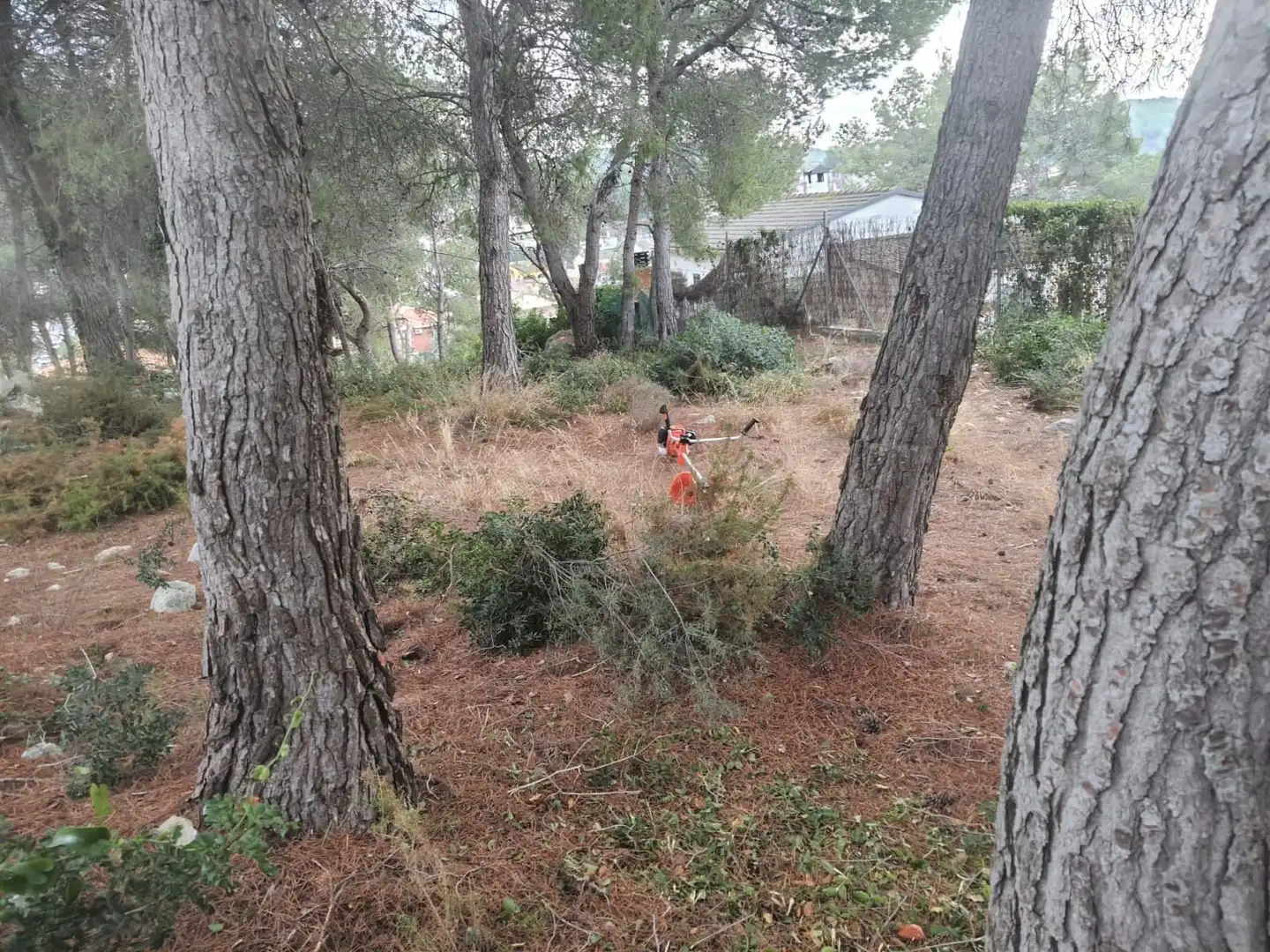 Grundstücke und Bauplätze zum Verkauf in Calafell Park, imagen 13
