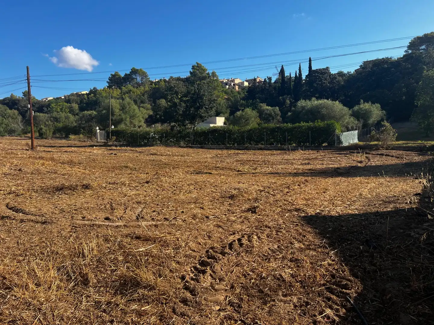 Maison rustique à vendre à Campanet, imagen 8