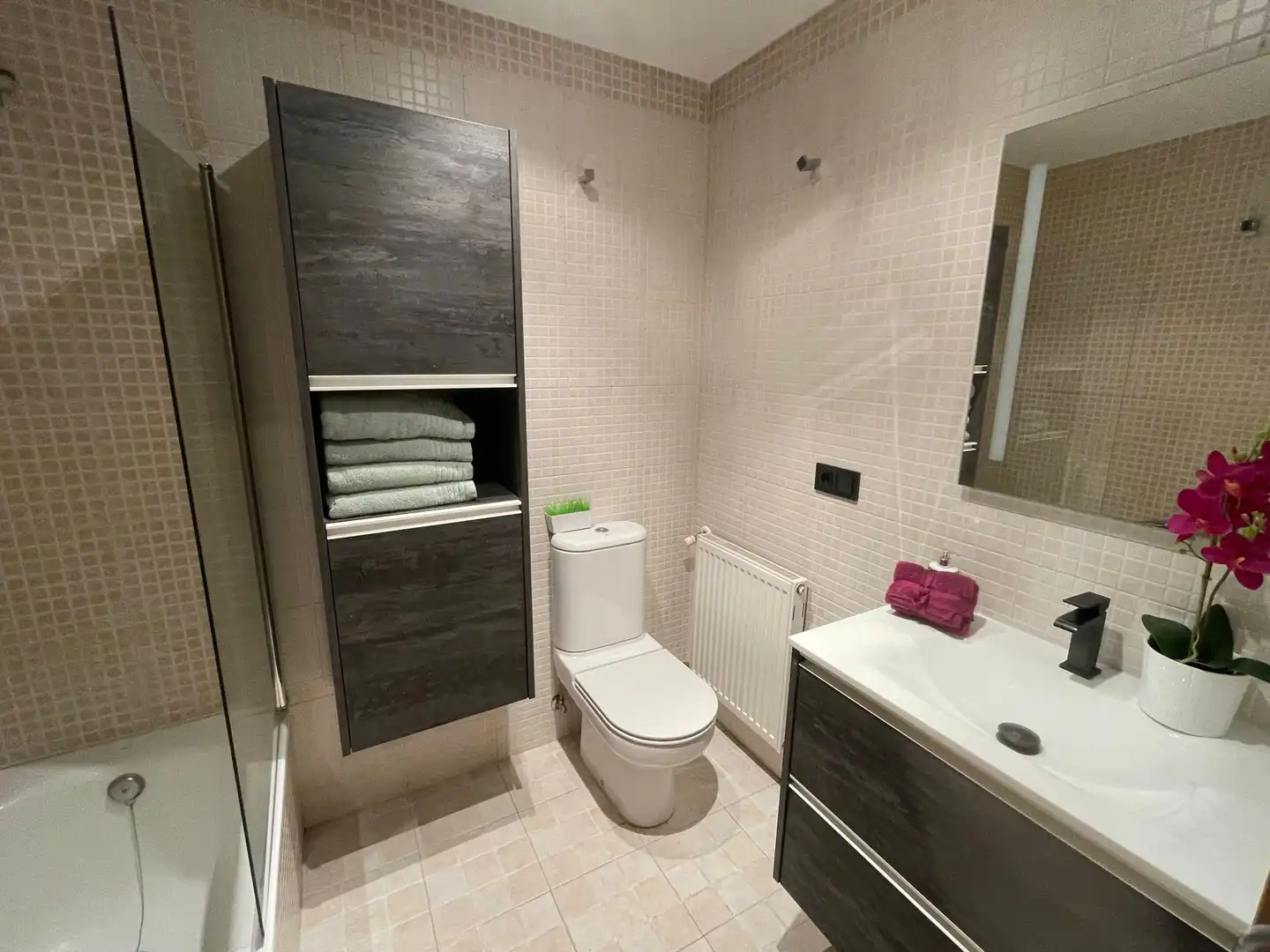 Apartments for rent in Calle Arco de San Esteban, Casco Antiguo