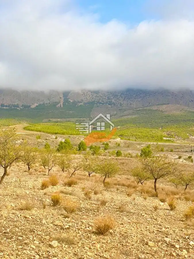Terreny residencial en venda a Vélez-Rubio, imagen 7