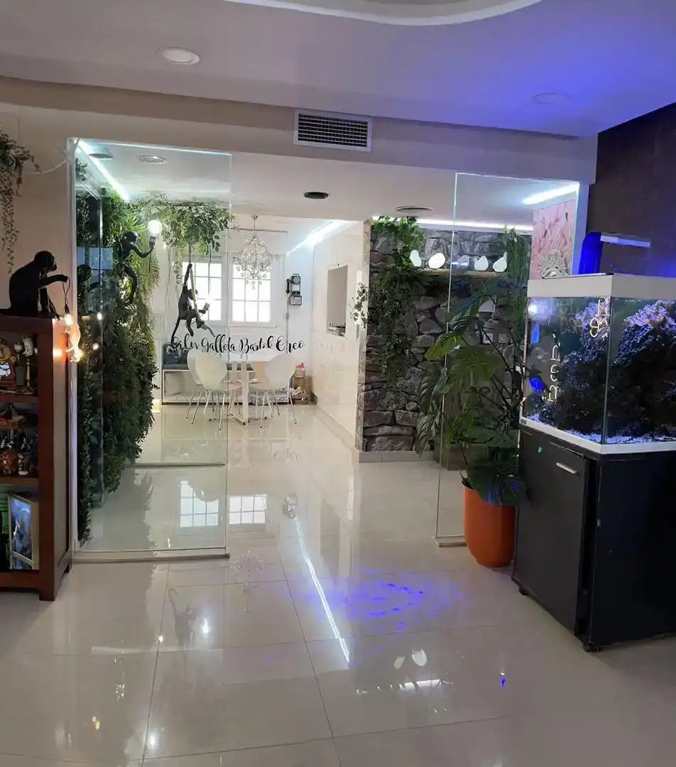 Àtic en venda en Melilla amb Aire condicionat, Jardí privat i Parquet