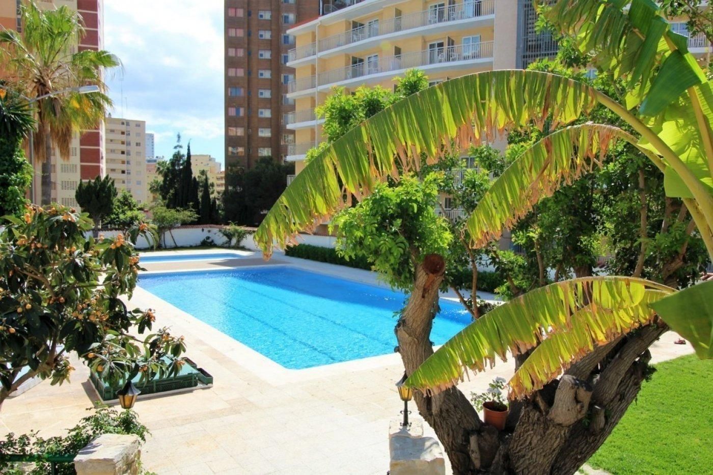 Piscina de Apartamento en venta en Benidorm con Aire acondicionado, Calefacción y Jardín privado