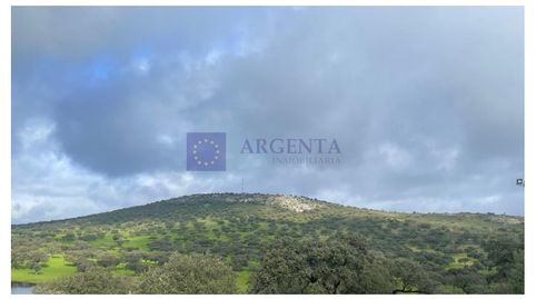 FINCA GANADERA DE UNAS 500 HECTÁREAS EN LA ZONA DE CORIA, imatge 5