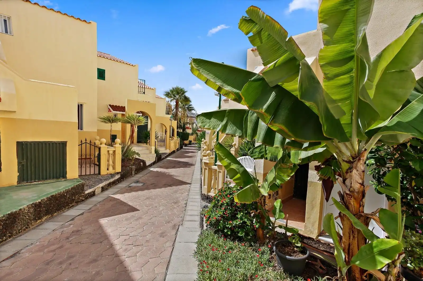 Vista exterior de Apartamento de alquiler en Adeje con Terraza, Amueblado y Piscina comunitaria