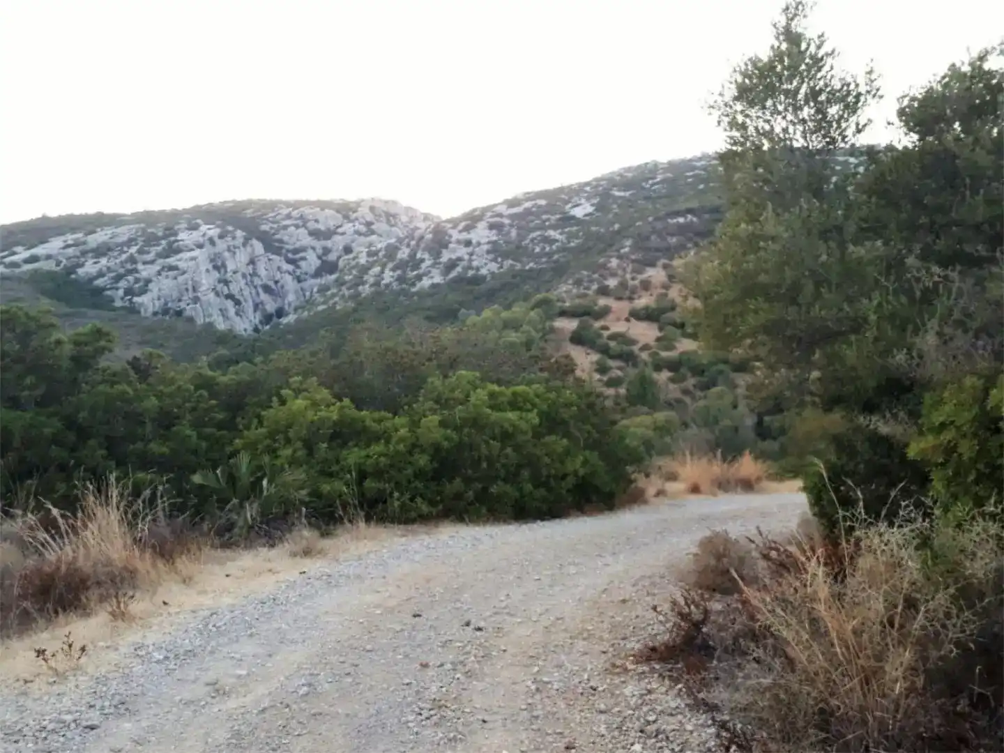 Vista exterior de Finca rústica en venda en Casares