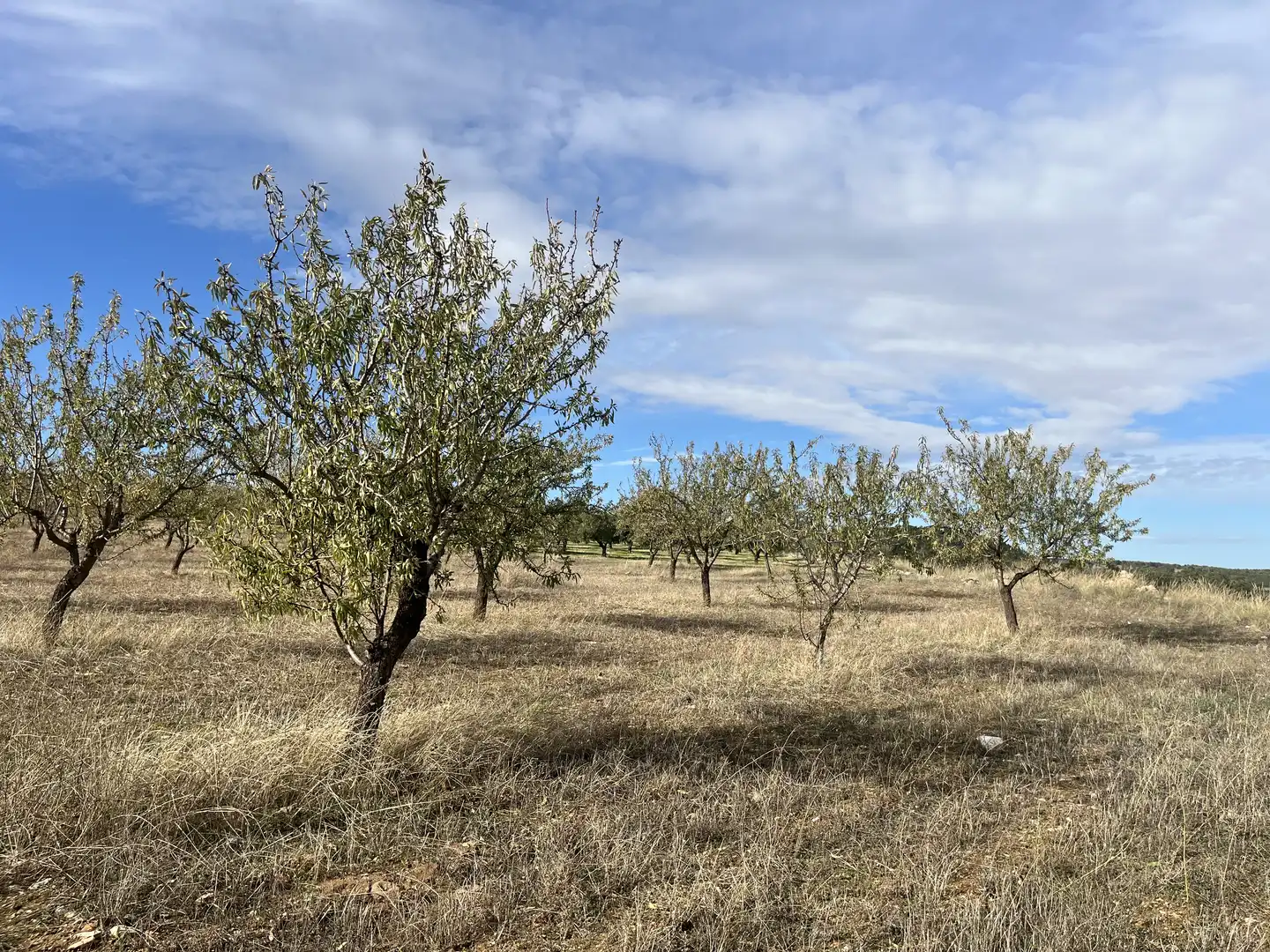 Rustikales Grundstück zum Verkauf in Avenida de Andalucía, imagen 22