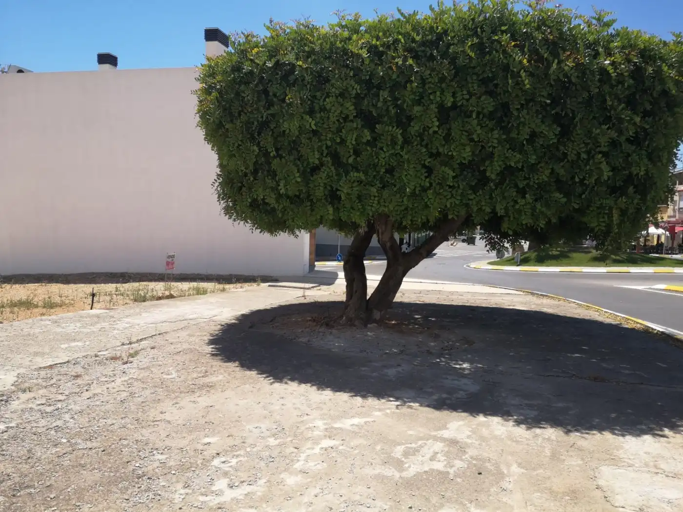 Terrenys i solars en venda a VILAFRANCA, imagen 11