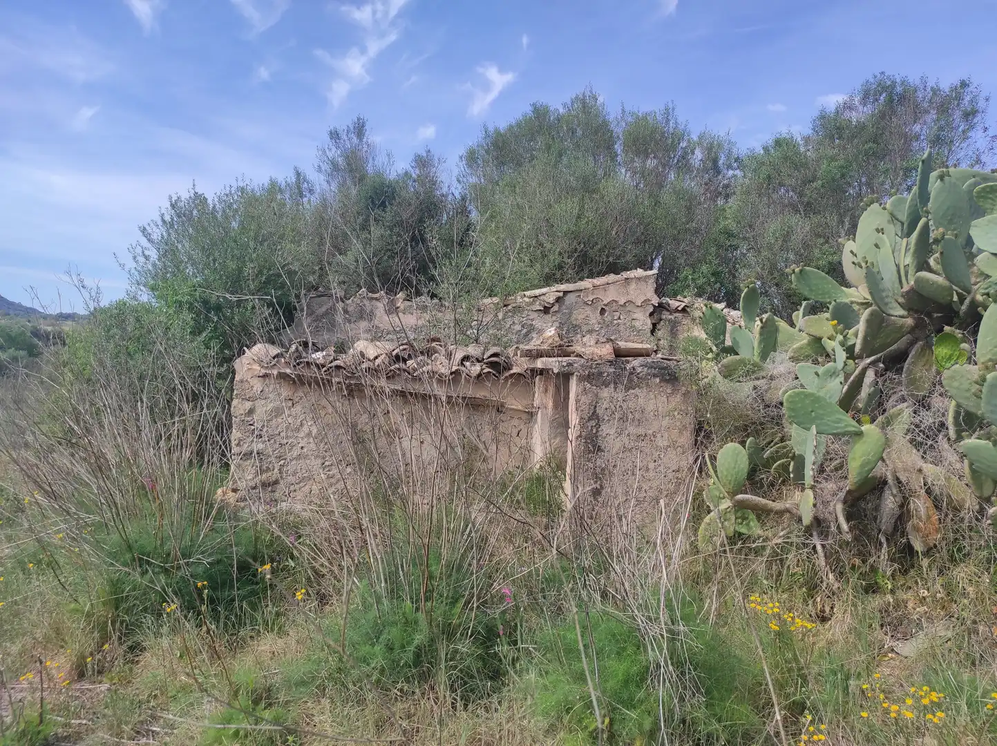 Terreno residencial en venta en Sineu, imagen 7