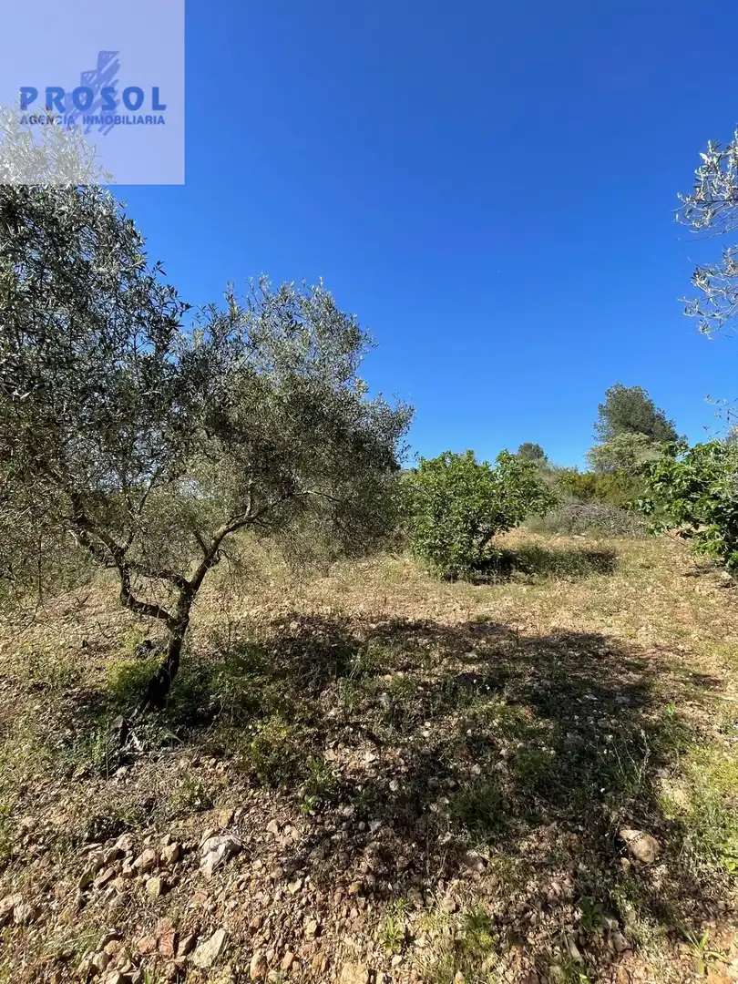 Finca rústica en venta en Vilafamés
