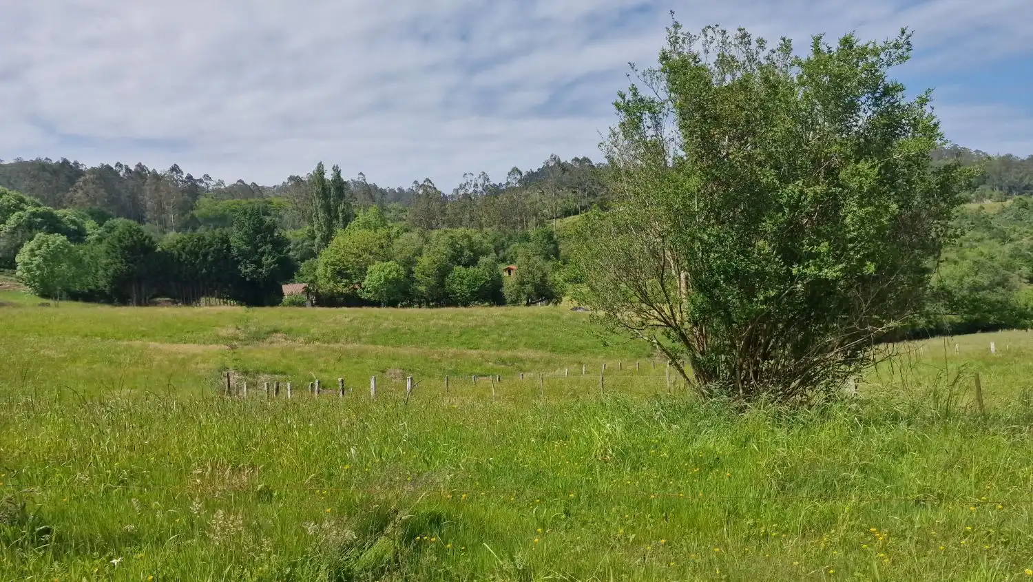 Finca rústica en venda en Udías