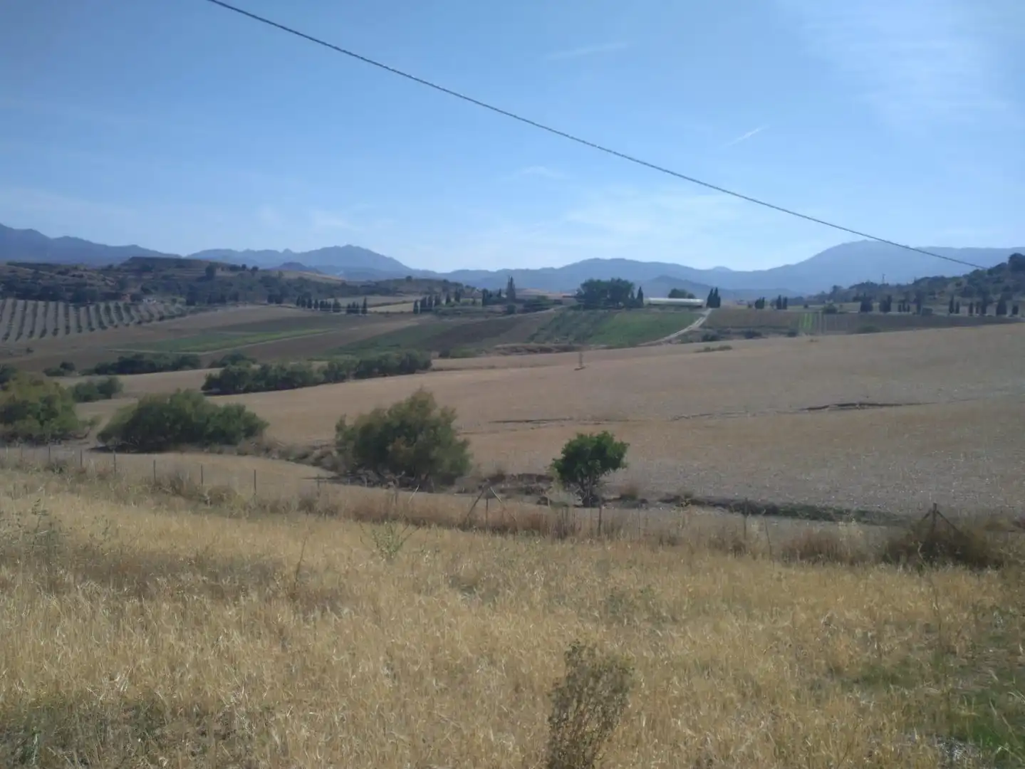 Terrenys i solars en venda a gibralgalia, imagen 4