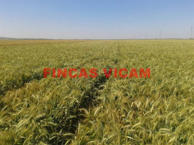 Terreno en Venta en Lascellas-Ponzano