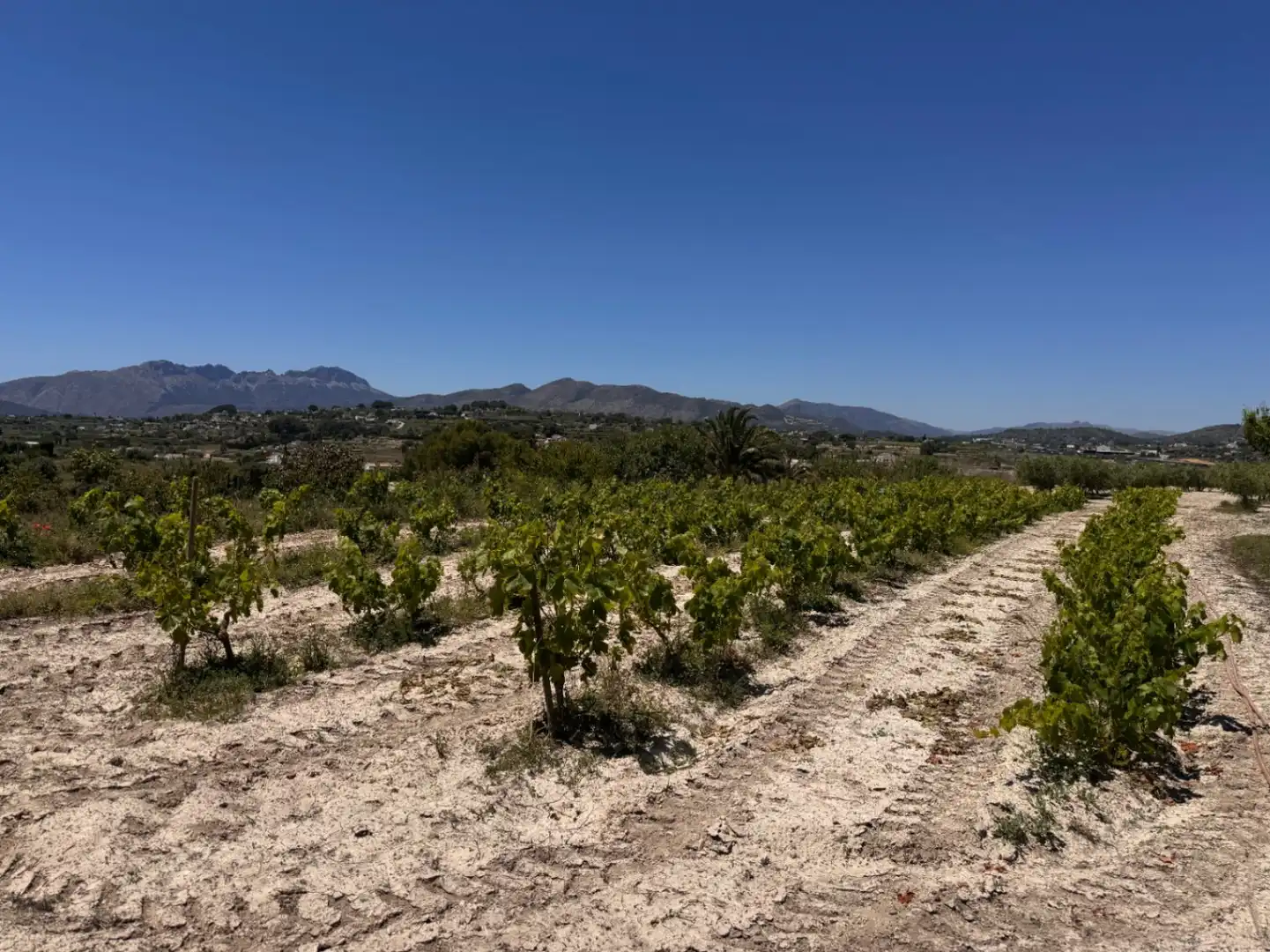 Finca rústica en venta en Benissa con Aire acondicionado, Calefacción y Jardín privado