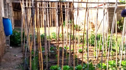Foto 4 de Finca rústica en venda a Albalate de Cinca, Huesca