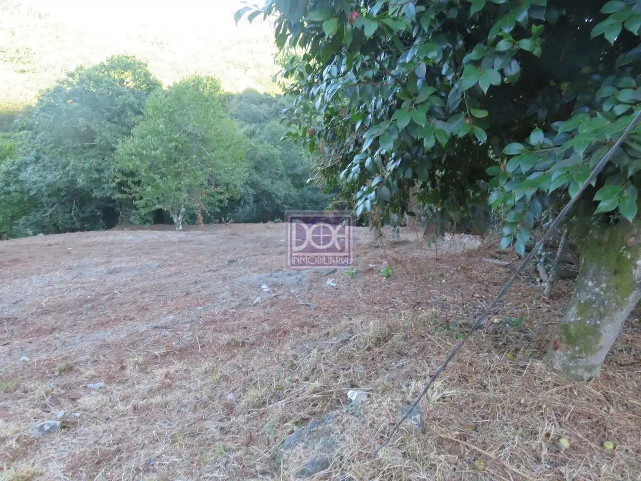 Casa rústica amb jardí en venda a Mondariz, imagen 5