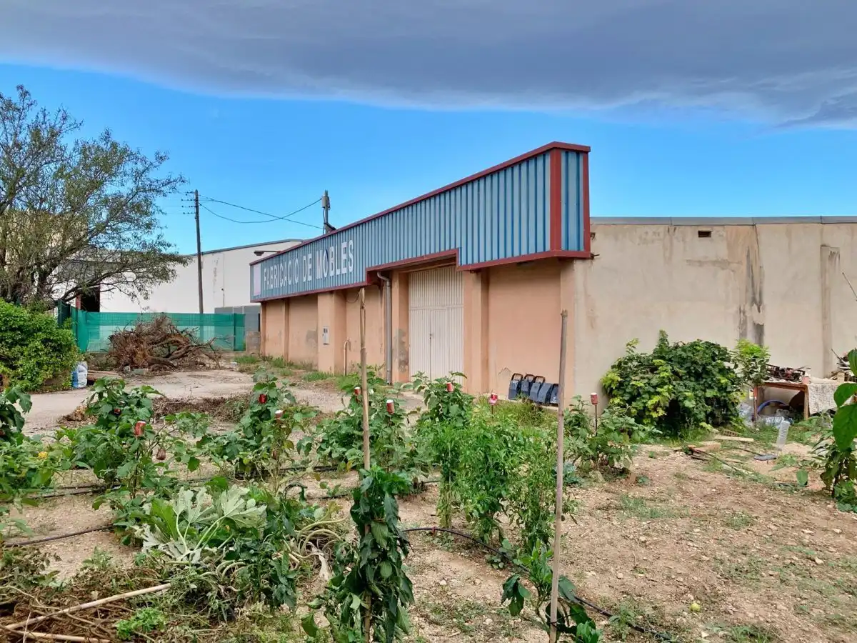 Local comercial en alquiler en Santa Bàrbara, imagen 10