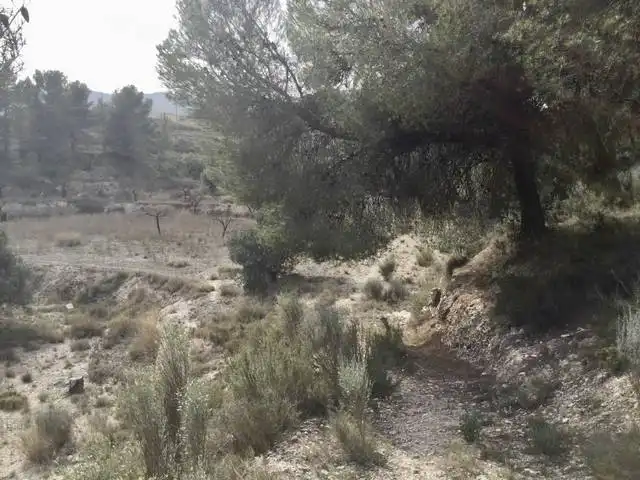 Terreny residencial en venda a Partida Castillo, imagen 7