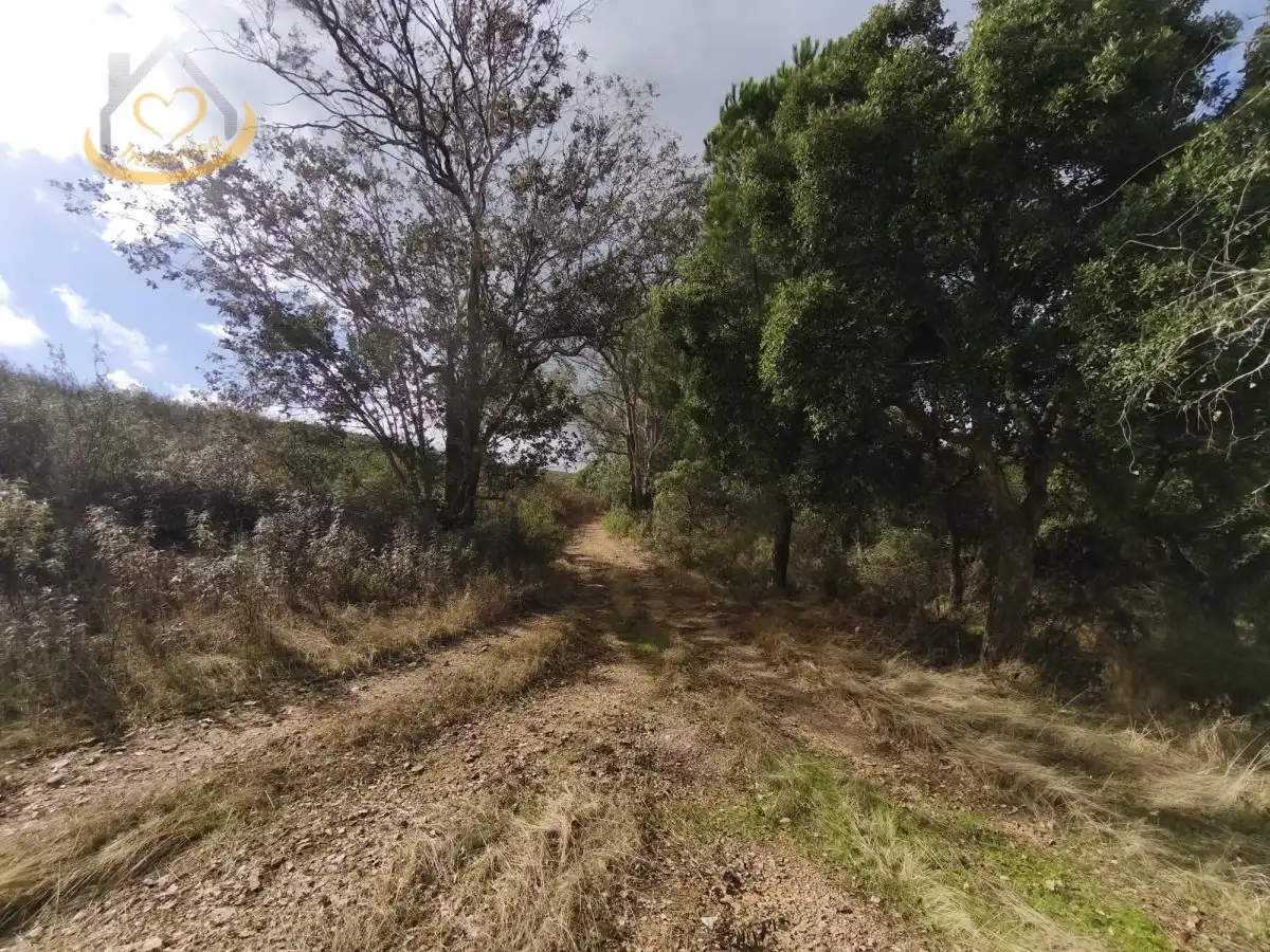 Terreni e lotti in vendita a Puebla de Guzmán, imagen 18