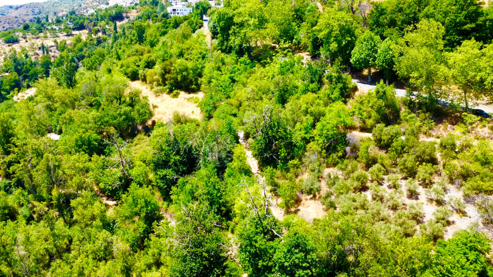 Finca rústica en venta en Alpujarra de la Sierra