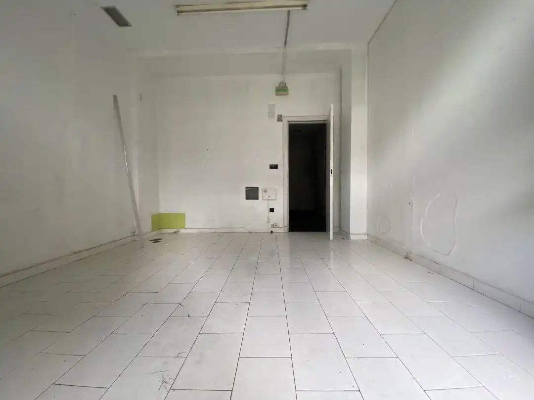 Commercial properties for sale in Bergara