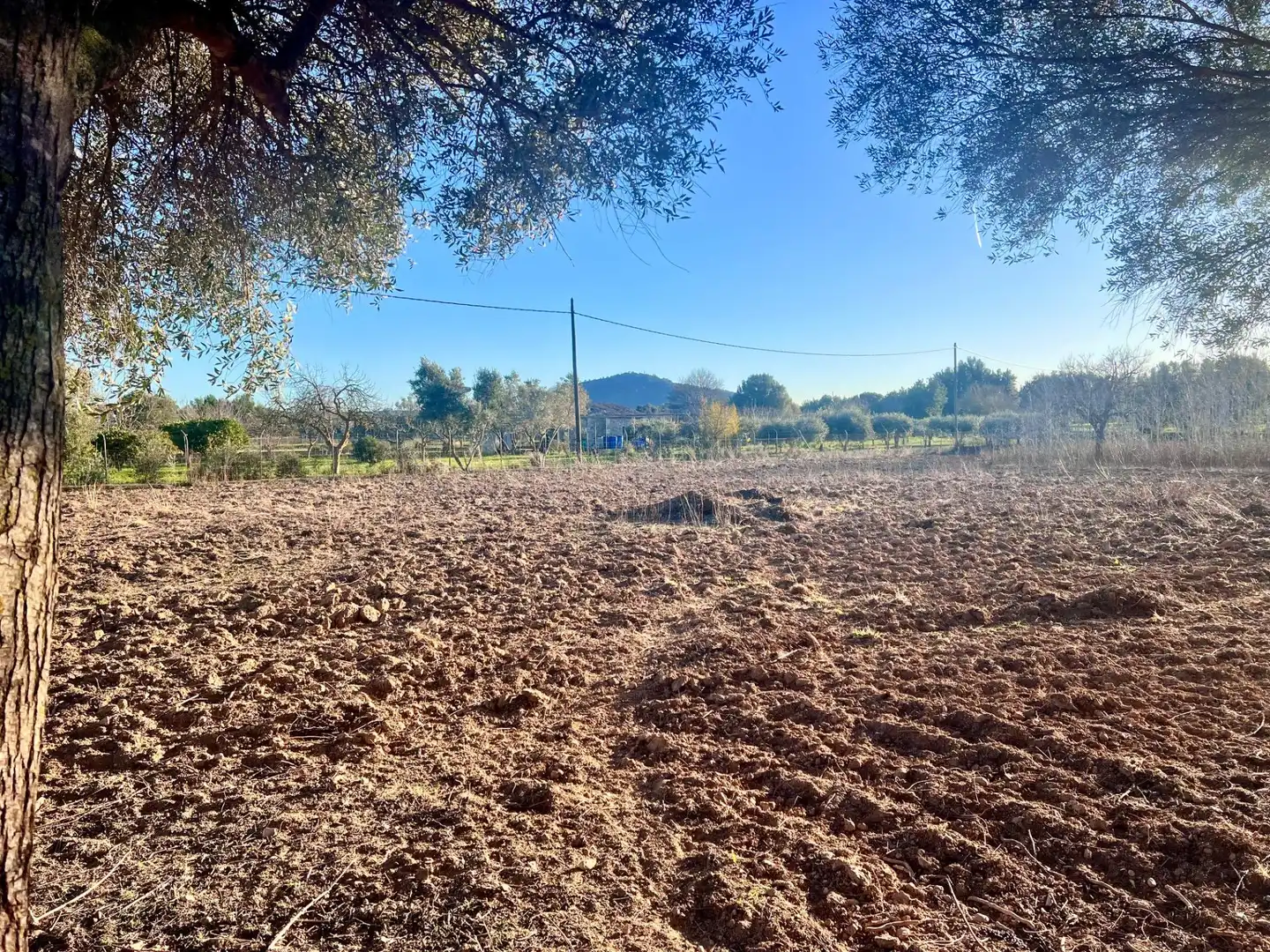 Casa rústica en venta en Campanet, imagen 14