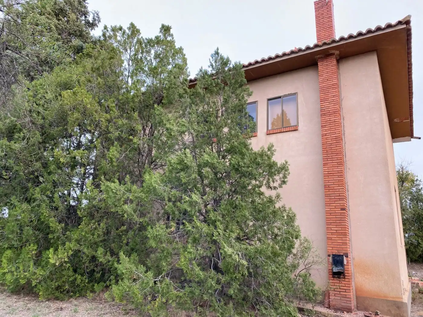 Finca rústica en venta en Monreal del Campo