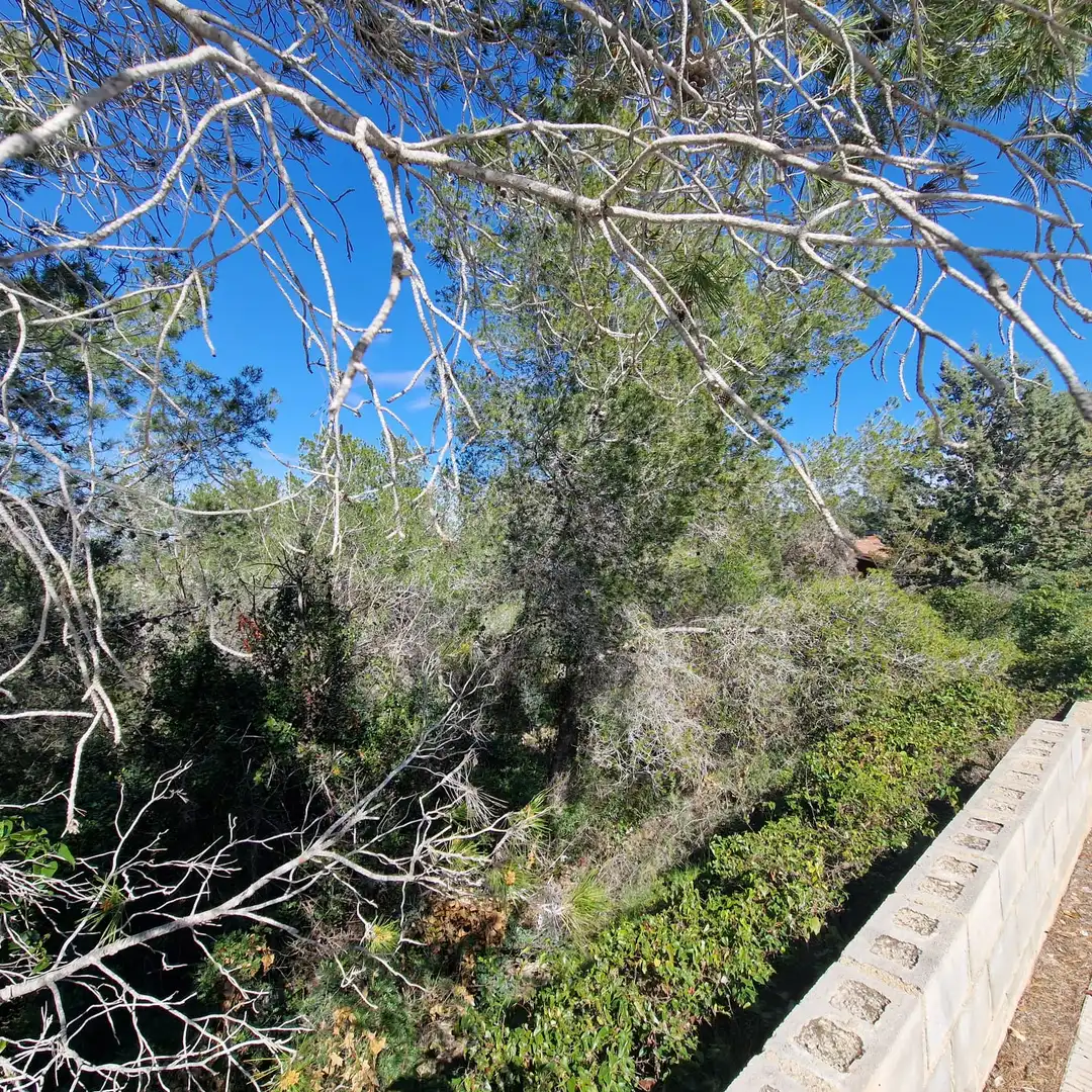 Terreno residencial en venta en Carrer Gessamí 18, imagen 36