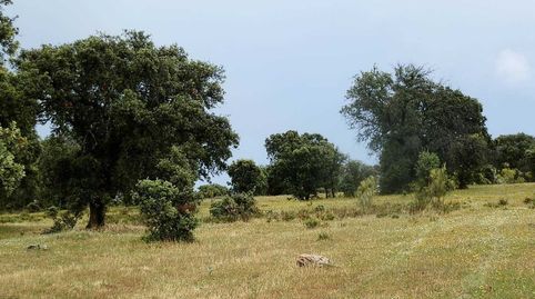 finca en venta ganadera recreo en Toledo, imatge 2
